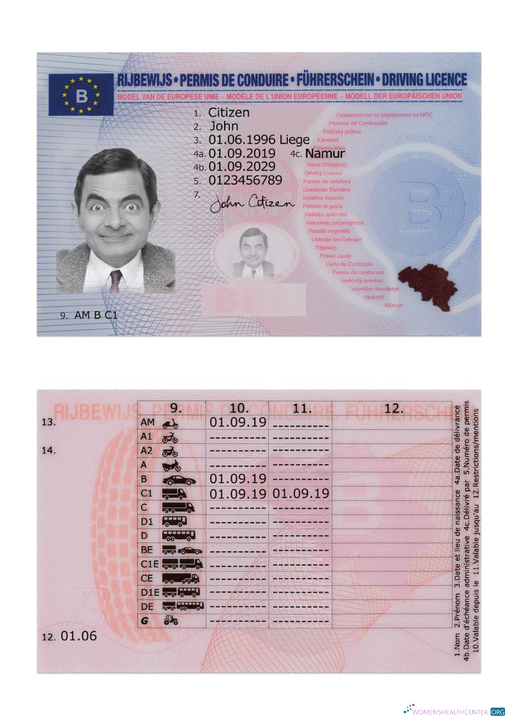 download Belgium driving license 2019 present